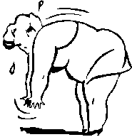 overweight woman trying to bend over and touch her toes